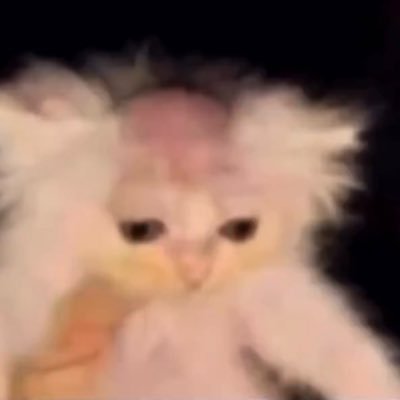 TheWeeknd1670's profile picture. Holder of Space Nft ( Motoko-pal) build on $ICP https://t.co/TIIw9TOqgG