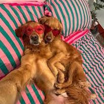 Zeus16555's profile picture. 