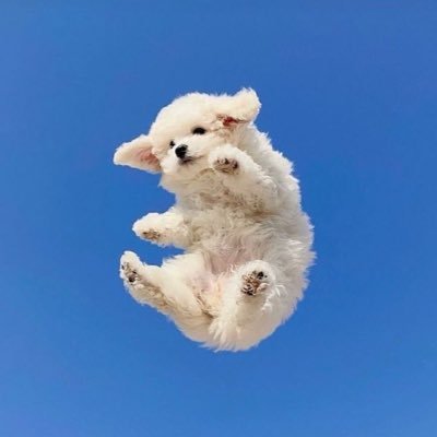 extrakumquattea's profile picture. Can’t you tell i’m fruity?