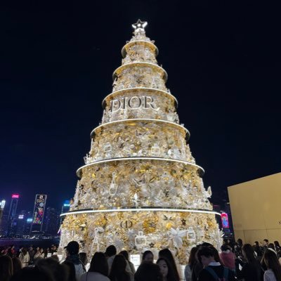 caumjw's profile picture. 투자와 경제에 관심이 많습니다. $TSLA $NVDA $QLD / 매주 QLD 적립 중 / 배당재투자 중