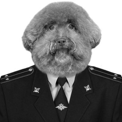 MulchNik555's profile picture. mulch