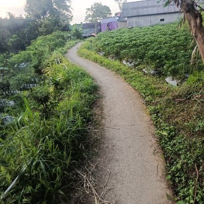 suryadi_yu18857's profile picture. 