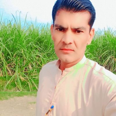 SajidAli7212's profile picture. Student | Content Creator