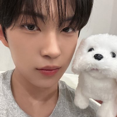 nu0ah247's profile picture. 반려 원숭이