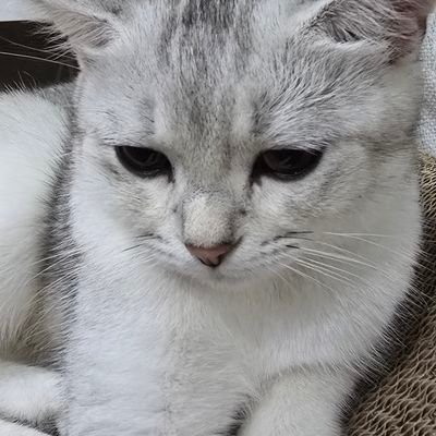 second5458's profile picture. 