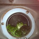 Angela Everitt - @AngEveritt - Twitter