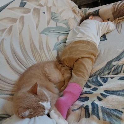 FurtakGelo's profile picture. 