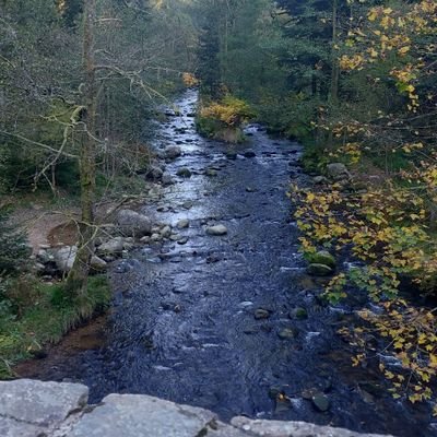 Aleff1881's profile picture. 