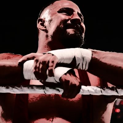 DogsAreBarkingg's profile picture. NOT @BronBreakkerWWE. | I am a DAWG! Can you see the vision? Have the most dangerous spear of ALL TIME!