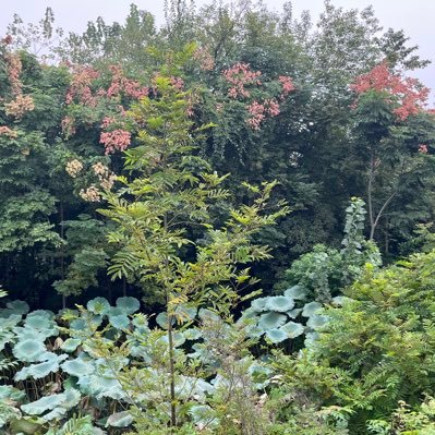 Chan5jo's profile picture. 希望大家天天赚大钱，我先撤离了