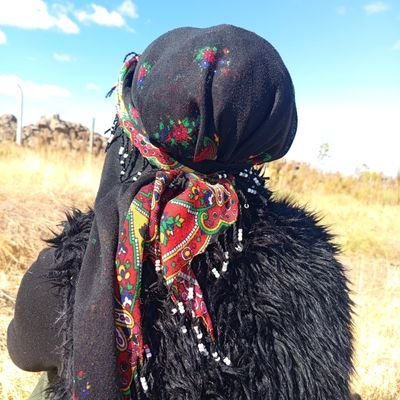 kewok_amed's profile picture. ♡﹏Tu gulê çiya yî, her dem li ser rêya xwe ronahîyê diparêze﹏♡