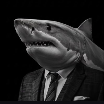 Ndndn228591's profile picture. 