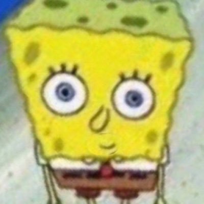 Spongeboymebon's profile picture. 