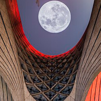 shabazi61937183's profile picture. 