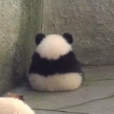 krashhts18's profile picture. filtered, unbothered & apologetic.                              
        main @filteredkash_