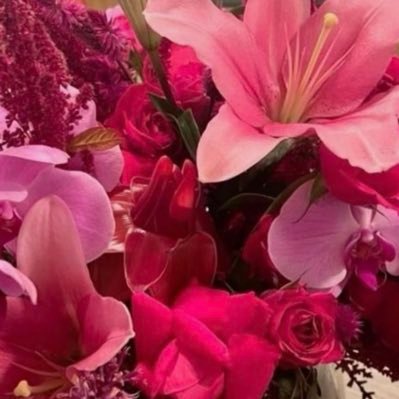 analianaysf's profile picture. 🫀🫁🧠👁️ //Suka Masak🐟// #studytwt