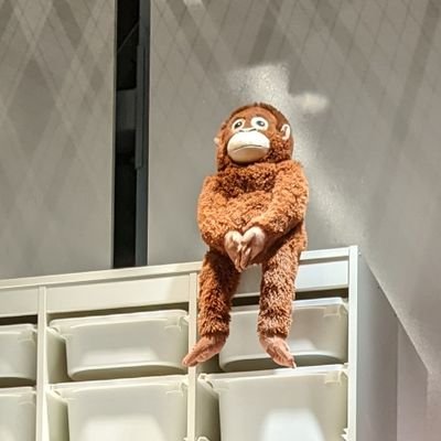 まめまるぴさんのプロフィール画像