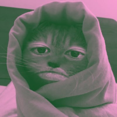 koeningtelur's profile picture. A human with pig’s brain.