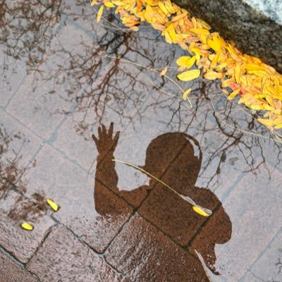 rupaagal's profile picture. I am a cheerful ball of melancholy