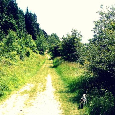 rumpusmac's profile picture. 