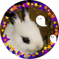 ゆきみそ (@yukimiso2011) 's Twitter Profile Photo