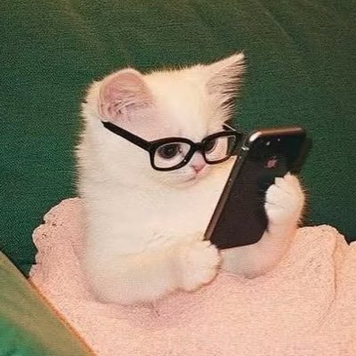 skydotcs's profile picture. 