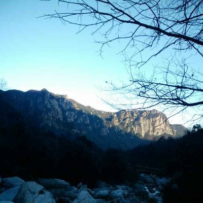 Jacqualine63670's profile picture. 