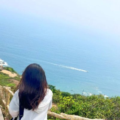0x2c6cff411464's profile picture. 