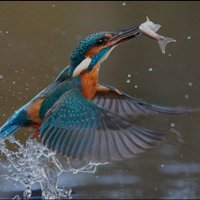 hunter........🐳 (@hunter__123p) 's Twitter Profile Photo