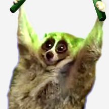 ayn_lolz's profile picture. 09/無銭乞食/@DMRC_meru @UtaGe_uni