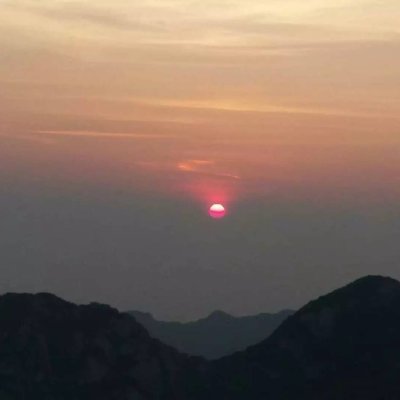 DaiseySitt38279's profile picture. 
