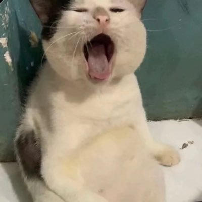 f4irysyaa_'s profile picture. my tempat nyambat gw