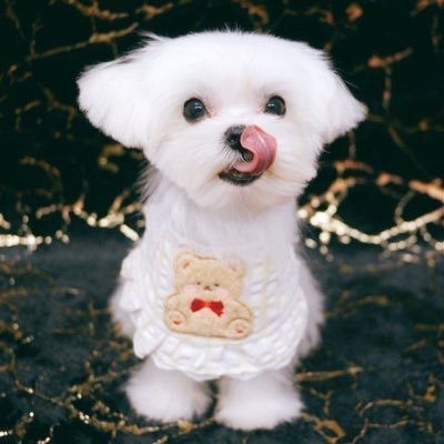 wiglyno's profile picture. bink