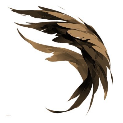 dedalusbi's profile picture. Machine Learning Engineering and Rust/Elixir Development