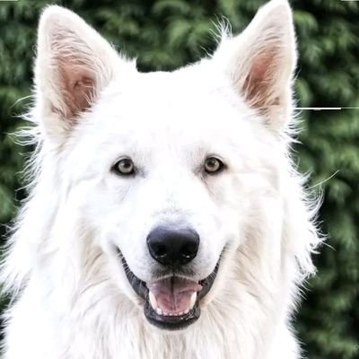 Darling94455210's profile picture. 