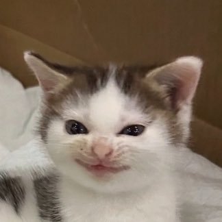 _transfinans's profile picture. former prykolist  / ТРО Варшава