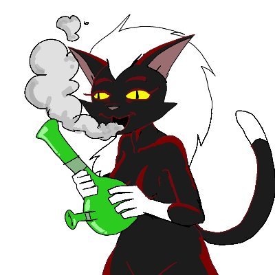 blackchan1234's profile picture. I am the world's number 1 respector of black women