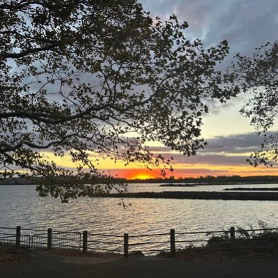 FranSiegel's profile picture. Political junkie, dog lover, Jersey girl, academic librarian, Golden Girls Superfan #SlavaUkraini🕊️💕 #BidenHarris Black-Jewish Alliance 🤝