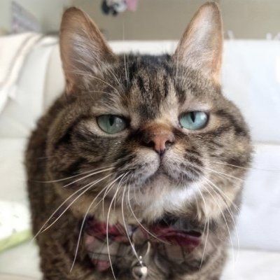 valentynl's profile picture. 