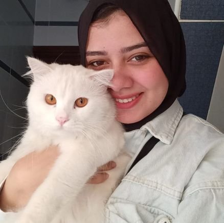 __Ro_o's profile picture. القطة المشمشية