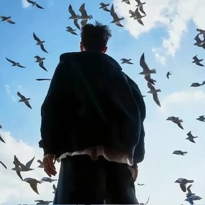 wang_hao90073's profile picture. 平平无奇的人，做着平平凡凡的事，活的平平淡淡