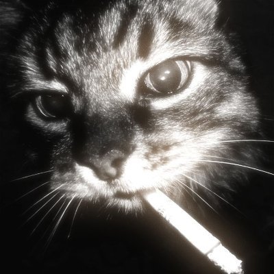 lexxxtc's profile picture. 