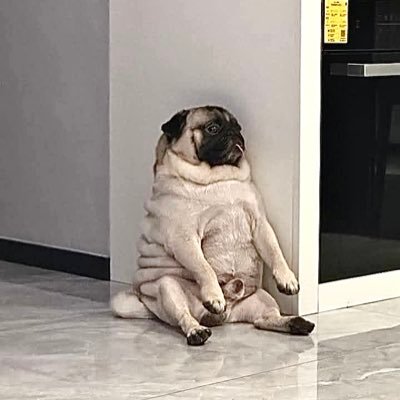 denpijack's profile picture. 