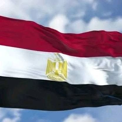 Ahmedyo95470298's profile picture. ‏‏‏‏‏‏مصري حتى النخاع اهلاوي جدا وافتخر