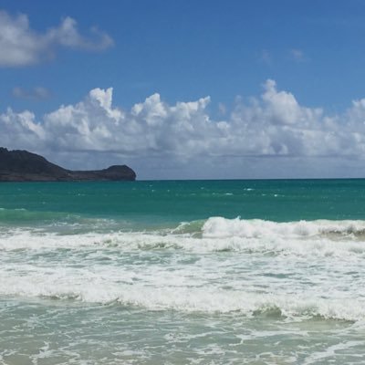 thatico2's profile picture. just an angry fstwt child