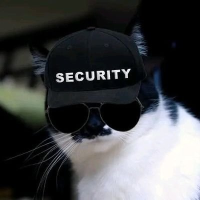 sajusec's profile picture. Hack the planet @sajusec