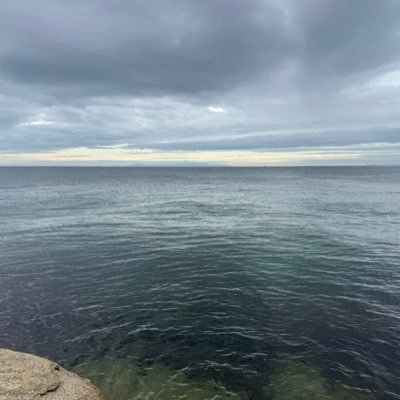 shuyx92's profile picture. X🔰