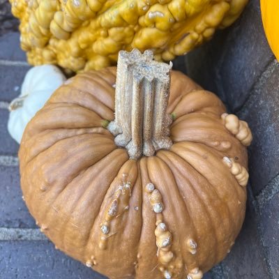 SMSMSMSSSD's profile picture. 