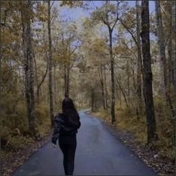edmaiston398166's profile picture. 
