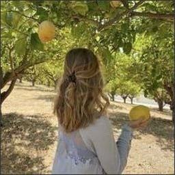 disanzaben69145's profile picture. 